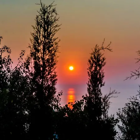 Matula Διαμέρισμα